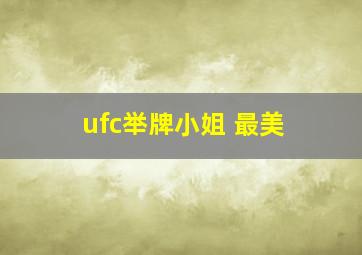 ufc举牌小姐 最美